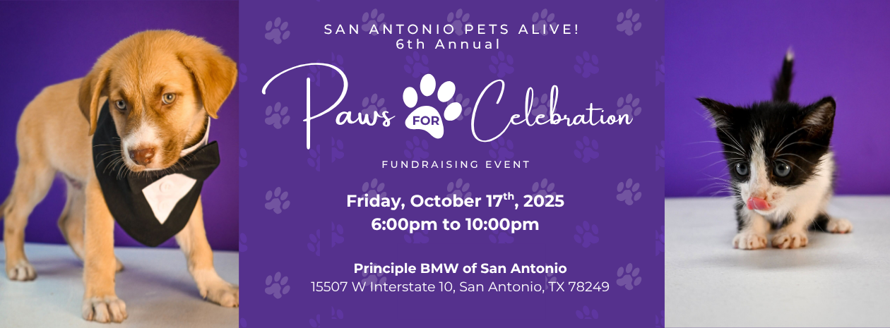 Paws for Celebration 2025